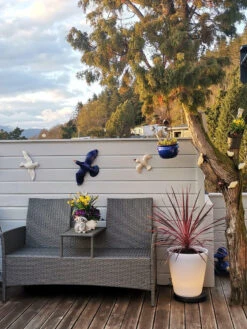 Konstsmide Assisi Blomsterpotte Stor Med LED-lys -Lightup Butikk Assisi blomsterpotte stor med LED lys Utebelysning Hagebelysning Konstsmide 7454 000 6