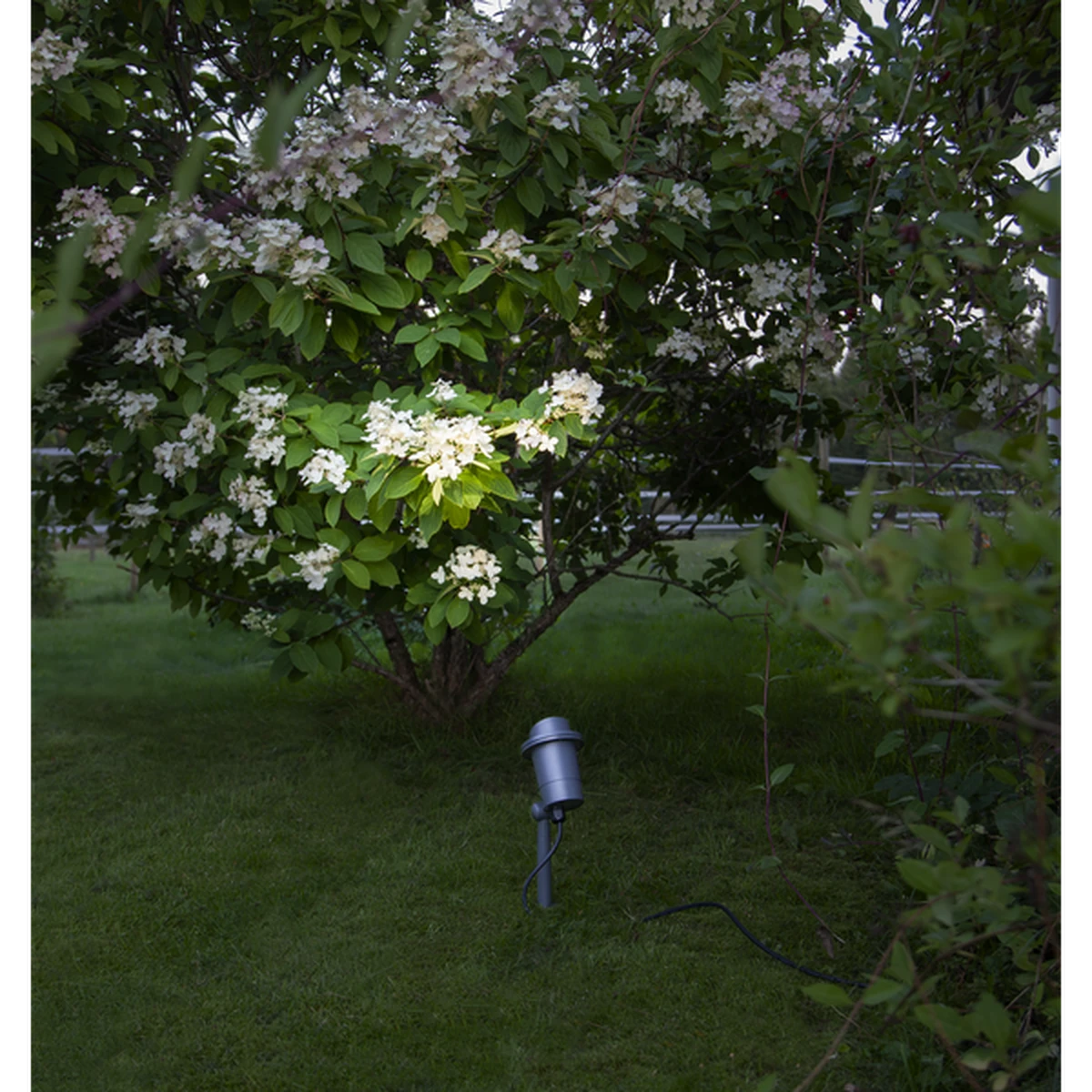 Star Trading Focus Uplight På Spyd 30 Cm Utendørs GU10 IP44 - Svart 4 Star Trading Focus Uplight På Spyd 30 Cm Utendørs GU10 IP44 - Svart - Bilde 2