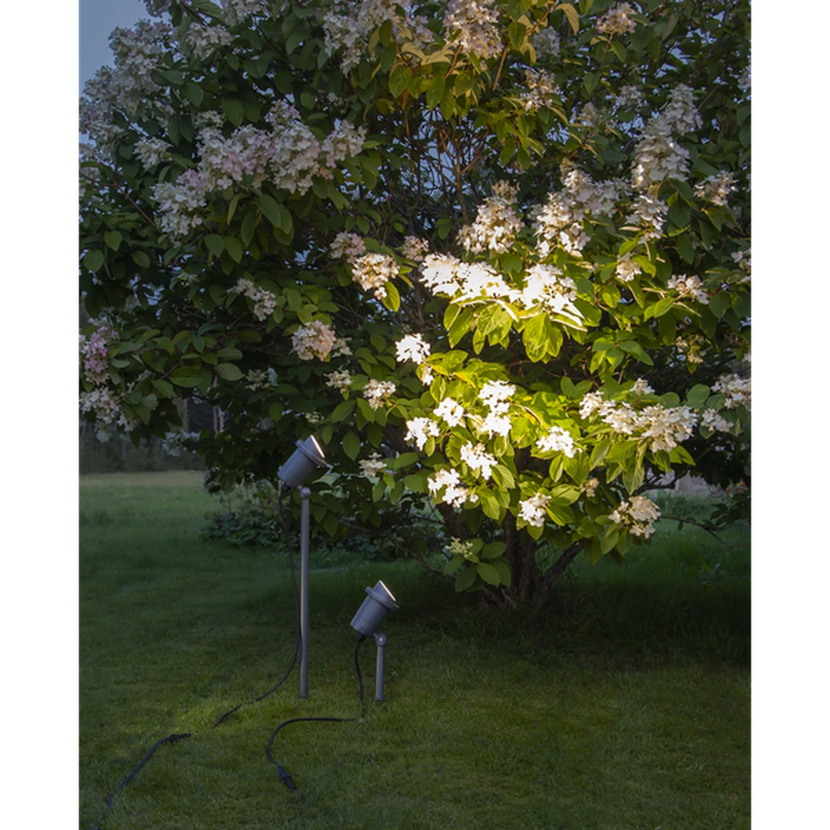 Star Trading Focus Uplight På Spyd 30 Cm Utendørs GU10 IP44 - Svart 7 Star Trading Focus Uplight På Spyd 30 Cm Utendørs GU10 IP44 - Svart - Bilde 5