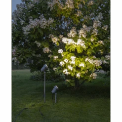 Star Trading Focus Uplight På Spyd 67 Cm Utendørs GU10 IP44 - Svart -Lightup Butikk Focus uplight pa spyd 67 cm utendors GU10 IP44 Svart Utebelysning spyd Star Trading 486 41 4