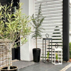 Lucerna Lanterne/lykt 30 Cm IP65 - Hvit -Lightup Butikk Lucerna lanternelykt 30 cm IP65 Hvit Utebelysning Hagebelysning LOOM Design LF 802 001 3