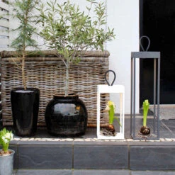 Lucerna Lanterne/lykt 30 Cm IP65 - Hvit -Lightup Butikk Lucerna lanternelykt 30 cm IP65 Hvit Utebelysning Hagebelysning LOOM Design LF 802 001 4