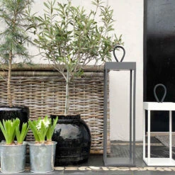 Lucerna Lanterne/lykt 30 Cm IP65 - Hvit -Lightup Butikk Lucerna lanternelykt 30 cm IP65 Hvit Utebelysning Hagebelysning LOOM Design LF 802 001 8