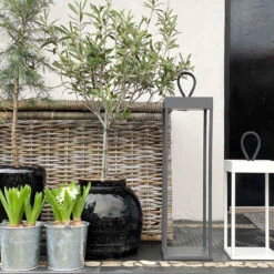 Lucerna Lanterne/lykt 50 Cm IP65 - Svart -Lightup Butikk Lucerna lanternelykt 50 cm IP65 Svart Utebelysning Hagebelysning LOOM Design LF 802 004 4