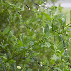 Markslöjd Lysnett 2x2m - Garden 24 - Svart