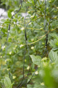 Markslöjd Lysnett 2x2m - Garden 24 - Svart -Lightup Butikk Lysnett 2x2m Garden 24 Svart Utebelysning Garden 24 Markslojd Mrk 108178 5