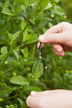 Markslöjd Lysnett 2x2m - Garden 24 - Svart -Lightup Butikk Lysnett 2x2m Garden 24 Svart Utebelysning Garden 24 Markslojd Mrk 108178 6