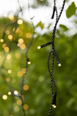 Markslöjd Lysslynge Istapper 160 - Garden 24 - Svart -Lightup Butikk Lysslynge istapper 160 Garden 24 Svart Utebelysning Garden 24 Markslojd Mrk 108179 5