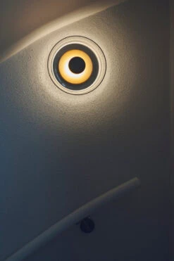 Nuura Blossi Vegglampe/taklampe Klar -Lightup Butikk Nuura Blossi vegglampetaklampe Klar Vegglamper Nuura Nua 2026005 11