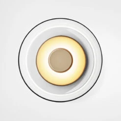 Nuura Blossi Vegglampe/taklampe Klar -Lightup Butikk Nuura Blossi vegglampetaklampe Klar Vegglamper Nuura Nua 2026005 5