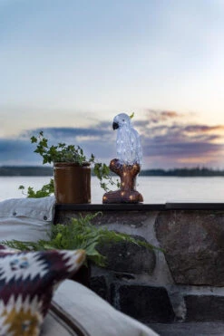 Konstsmide Papegøye 47 Cm -Lightup Butikk Papegoye 47 cm Utebelysning Hagebelysning Konstsmide 6276 203 3