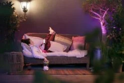 Philips Hue Calla Pullert White Ambiance & Color Luminairs 25 Cm - Forlenger -Lightup Butikk Philips Hue Calla pullert white ambiance color luminairs 25 cm Forlenger Utebelysning pullert Philips Hue 915005630301 16