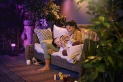 Philips Hue Calla Pullert White Ambiance & Color Luminairs 25 Cm - Forlenger -Lightup Butikk Philips Hue Calla pullert white ambiance color luminairs 25 cm Forlenger Utebelysning pullert Philips Hue 915005630301 17