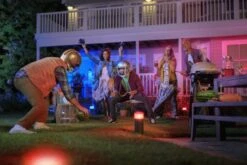 Philips Hue Calla Pullert White Ambiance & Color Luminairs 25 Cm - Forlenger -Lightup Butikk Philips Hue Calla pullert white ambiance color luminairs 25 cm Forlenger Utebelysning pullert Philips Hue 915005630301 18