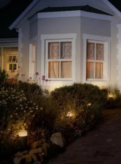 Philips Hue Calla Pullert White Ambiance & Color Luminairs 25 Cm - Forlenger -Lightup Butikk Philips Hue Calla pullert white ambiance color luminairs 25 cm Forlenger Utebelysning pullert Philips Hue 915005630301 19