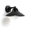 Philips MyGarden Cormorant Vegglampe Utendørs IP44 - Svart