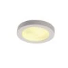 Plastra Taklampe 31 Cm E27