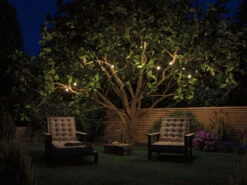 Paulmann Plug & Shine Fairy Lights Lysslynge 6,8 Meter 7 X 0,2 Watt 3000 Kelvin -Lightup Butikk Plug Shine Fairy Lights lysslynge 68 meter 7 x 02 Watt 3000 Kelvin Lysslynge Paulmann Pl 94165 4