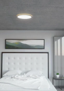 EGLO Rovito Smart Connect.z Taklampe 16,5W 2700-6500K RGB -Lightup Butikk Rovito smart connect z taklampe 165W 2700 6500K RGB Taklamper Eglo 900092 3