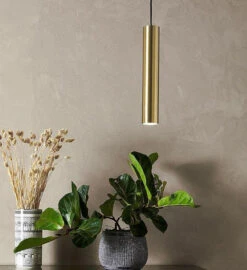 Markslöjd Ruben Takpendel 1 Lys M/stikkontakt