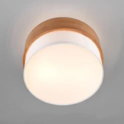 Seasons Taklampe Ø30 -Lightup Butikk Seasons taklampe O30 Taklamper Trio Lighting Trl 611500201 5