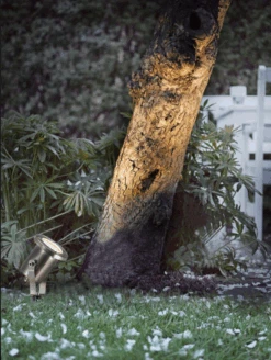 Nordlux Taurus Markspot -Lightup Butikk Taurus markspot Utebelysning spyd Nordlux 77029934 2