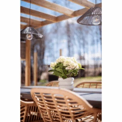 Star Trading Vide Skjerm 25 Cm For Lysslynge - Svart -Lightup Butikk Vide skjerm 25 cm for lysslynge Svart Connecta Star Trading 092 12 4